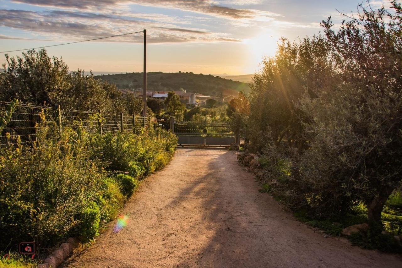 Casa Vacanza Le Dune Villa SantʼAnna Arresi Dış mekan fotoğraf