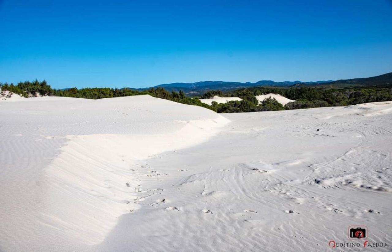Casa Vacanza Le Dune Villa SantʼAnna Arresi Dış mekan fotoğraf