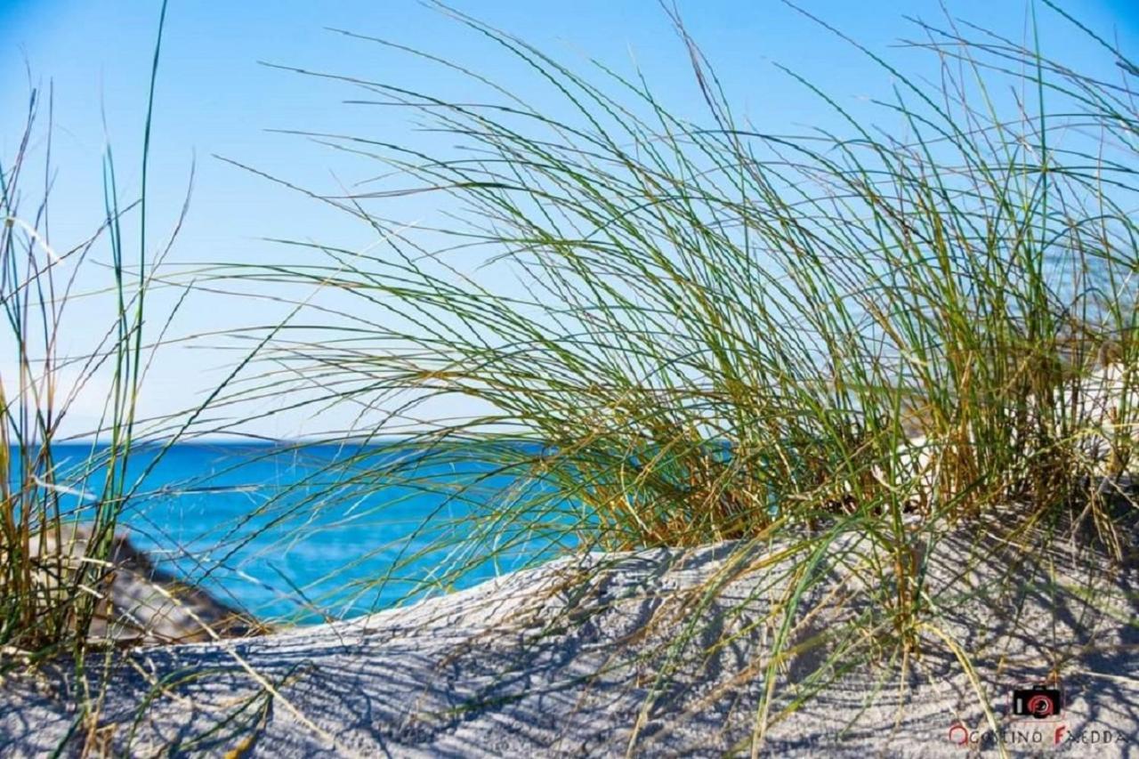 Casa Vacanza Le Dune Villa SantʼAnna Arresi Dış mekan fotoğraf