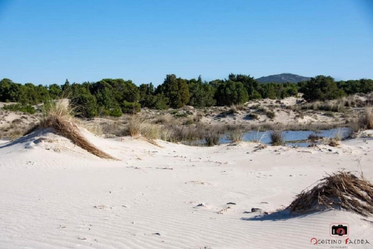 Casa Vacanza Le Dune Villa SantʼAnna Arresi Dış mekan fotoğraf